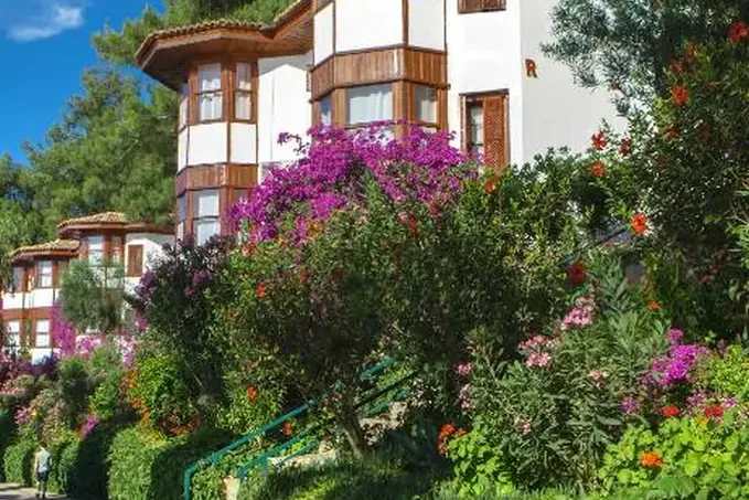 Letoonia’nın Flora ve Faunası — Letoonia’nın Flora ve Faunası